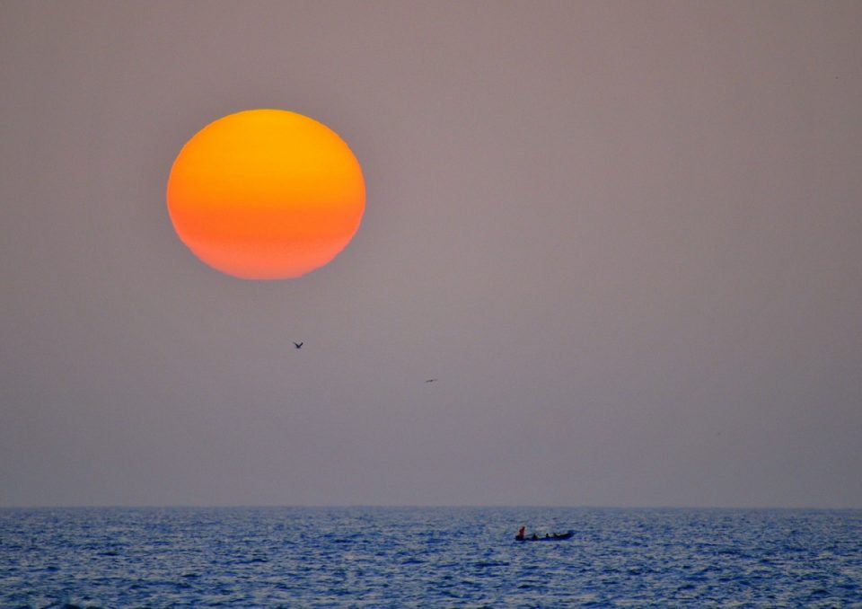 Article : Un voyage en Afrique, non merci !